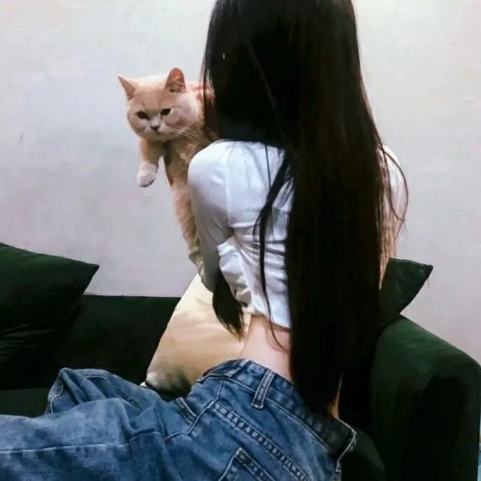 鹰眼下的危房